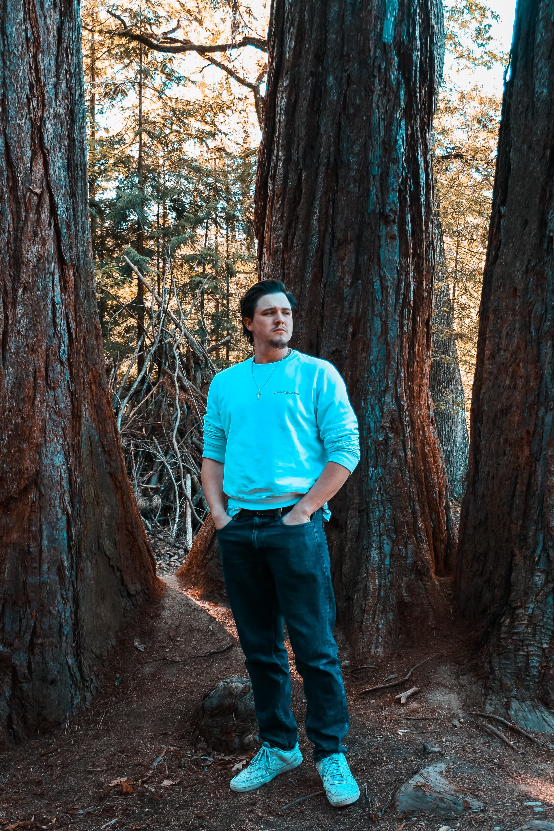 Deep Forest